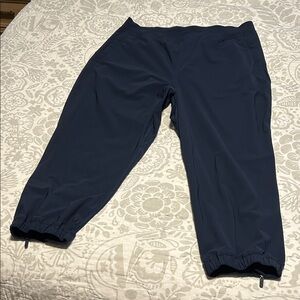 🎄Closet Closing Sale🎄 Lululemon Navy Crop/Ankle Track Pants 12